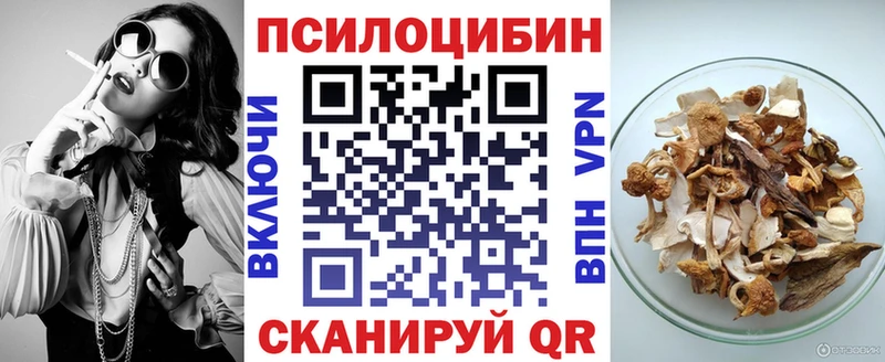 Псилоцибиновые грибы мицелий Нижнеудинск