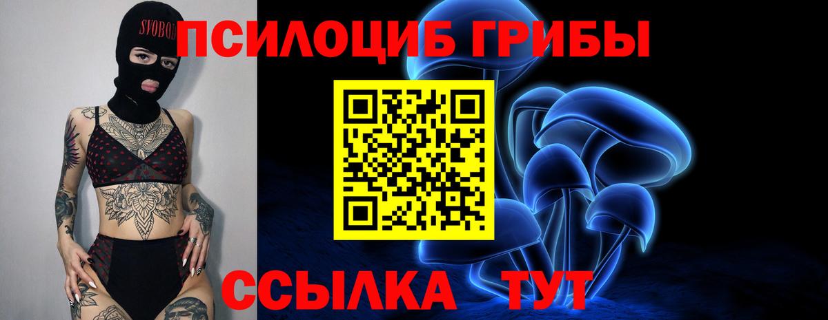 Галлюциногенные грибы GOLDEN TEACHER Нижнеудинск